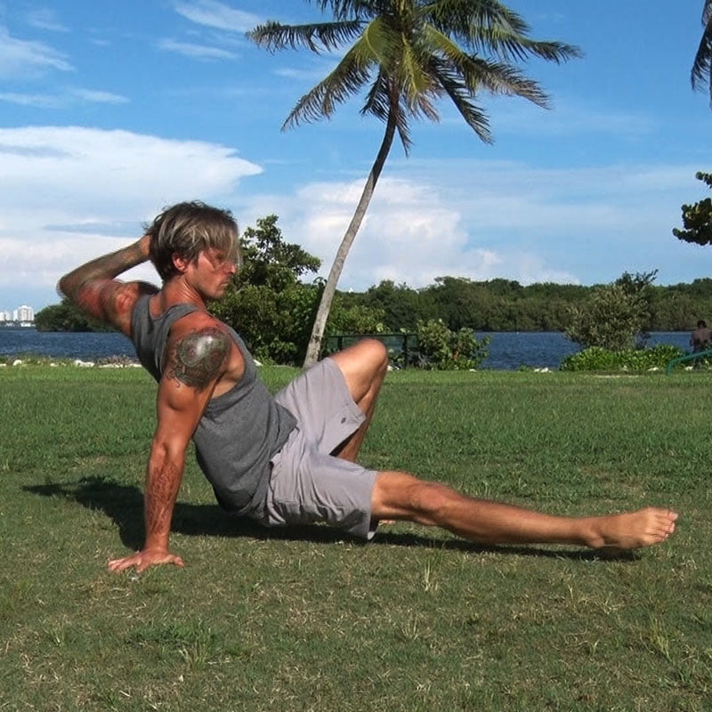 Animal Flow 2.0 Video Animal Flow